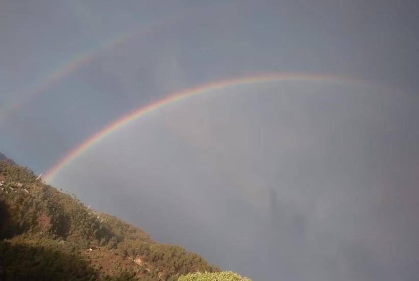 The Royal Mountain Ξενοδοχείο Ranikhet Εξωτερικό φωτογραφία